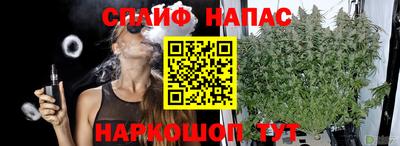 сатива Пугачёв